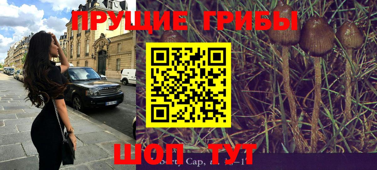 Галлюциногенные грибы Cubensis  Галлюциногенные грибы ЛСД  Вход с VPN  Новотроицк 